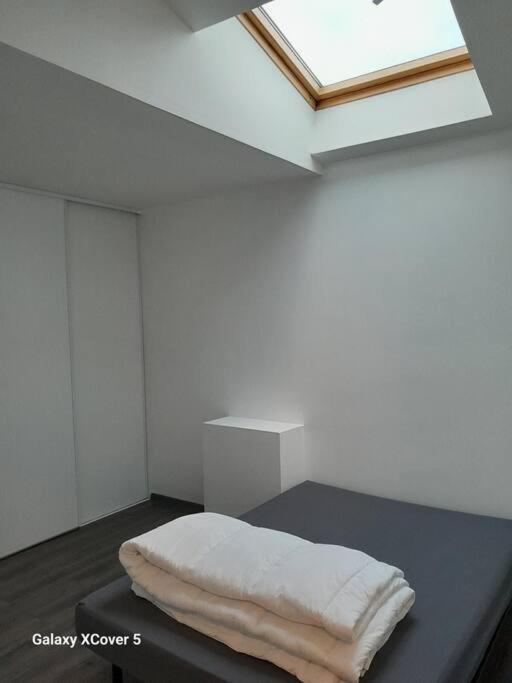 Le Loft - Villa De 70M² Avec Jardin Clos Chalon-sur-Saône Kültér fotó